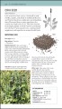 Фото Herbal Remedies Handbook 5