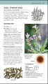 Фото Herbal Remedies Handbook 6