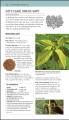 Фото Herbal Remedies Handbook 7