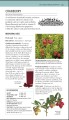 Фото Herbal Remedies Handbook 8