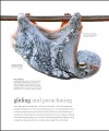 Фото The Science of Animals 5