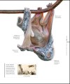 Фото The Science of Animals 6