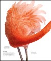 Фото The Science of Animals 7