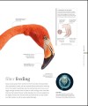 Фото The Science of Animals 8
