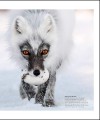 Фото The Science of Animals 10