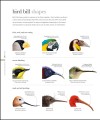 Фото The Science of Animals 13