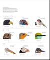 Фото The Science of Animals 14