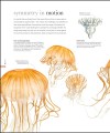 Фото The Science of Animals 15