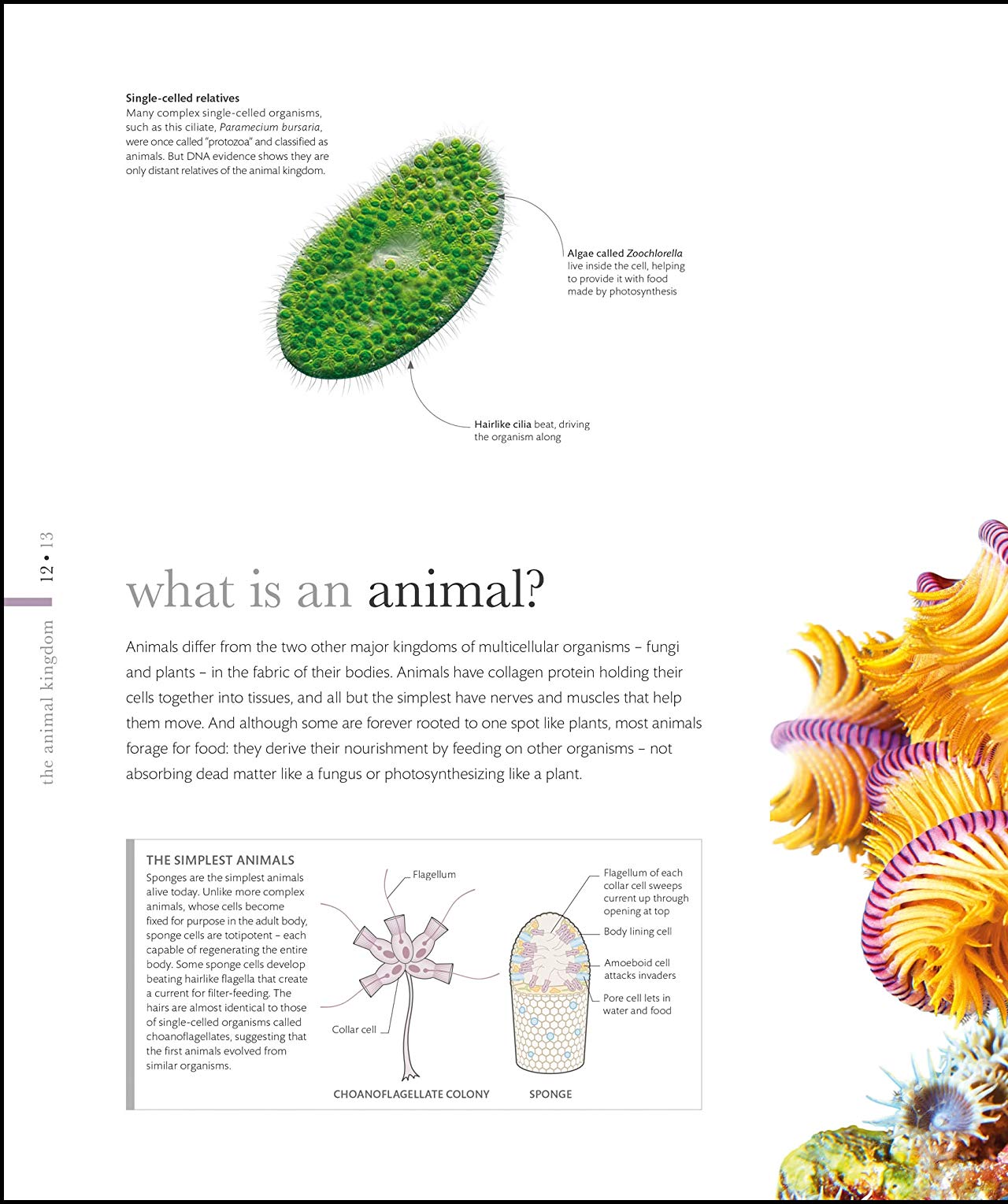 Hidden Product Image 19