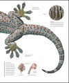 Фото The Science of Animals 24
