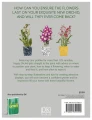 Фото Happy Orchid 2