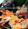 Фото First Explorers. Sea Creatures 5
