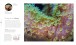 Фото The Science of the Ocean. The Secrets of the Seas Revealed 3