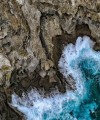 Фото The Science of the Ocean. The Secrets of the Seas Revealed 4