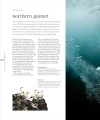 Фото The Science of the Ocean. The Secrets of the Seas Revealed 6