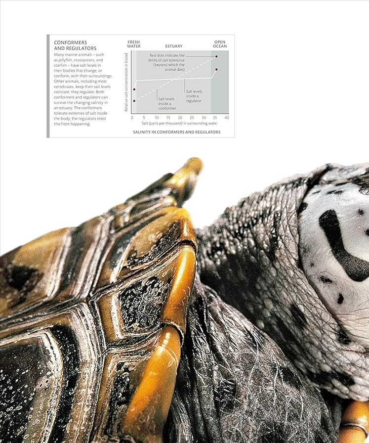 Hidden Product Image 8