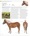Фото The Horse Encyclopedia (new edition) 9
