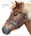 Фото The Horse Encyclopedia (new edition) 10