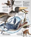 Фото 13½ Incredible Things You Need to Know About Everything 5
