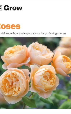 Grow Roses. Essential Know-how and Expert Advice for Gardening Success