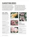 Фото Grow Roses. Essential Know-how and Expert Advice for Gardening Success 5