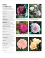 Фото Grow Roses. Essential Know-how and Expert Advice for Gardening Success 6