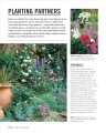 Фото Grow Roses. Essential Know-how and Expert Advice for Gardening Success 7
