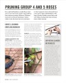 Фото Grow Roses. Essential Know-how and Expert Advice for Gardening Success 10