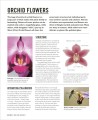 Фото Grow Orchids. Essential Know-how and Expert Advice for Gardening Success 5