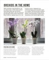 Фото Grow Orchids. Essential Know-how and Expert Advice for Gardening Success 6