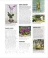 Фото Grow Orchids. Essential Know-how and Expert Advice for Gardening Success 7