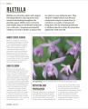 Фото Grow Orchids. Essential Know-how and Expert Advice for Gardening Success 8