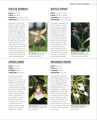 Фото Grow Orchids. Essential Know-how and Expert Advice for Gardening Success 9