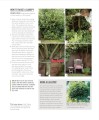 Фото Grow Shade Garden. Essential Know-how and Expert Advice for Gardening Success 7