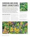 Фото Grow Shade Garden. Essential Know-how and Expert Advice for Gardening Success 8