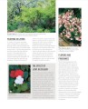 Фото Grow Shade Garden. Essential Know-how and Expert Advice for Gardening Success 10