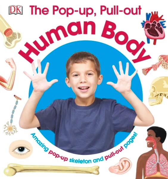 Фото The Pop-up, Pull out: Human Body