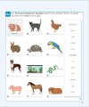 Фото English for Everyone 1 Beginner Practice Book: A Complete Self-Study Programme (new ed.) 4