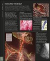 Фото The Human Body Book 2