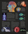 Фото The Human Body Book 3