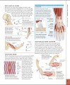 Фото The Human Body Book 5