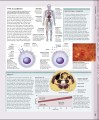 Фото The Human Body Book 7
