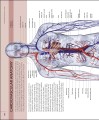 Фото The Human Body Book 8