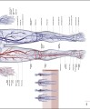 Фото The Human Body Book 9