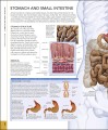 Фото The Human Body Book 10