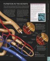 Фото The Human Body Book 13