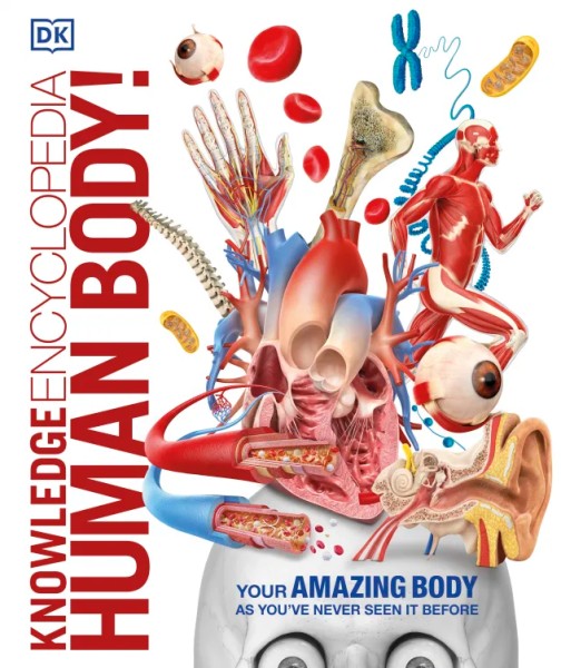 Фото Knowledge Encyclopedia Human Body!