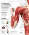 Фото Knowledge Encyclopedia Human Body! 2