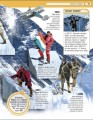 Фото Record Breakers! 5