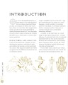 Фото Signs & Symbols 5